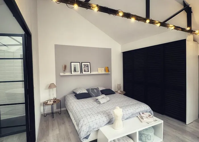 Appartement Magnifique Loft Industriel Designer 165 M2 Proche Lille *